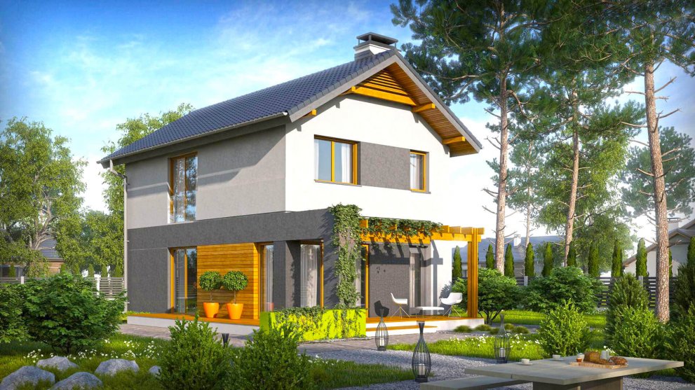 строительная компания строй дом и коттеджи проект 100 метров